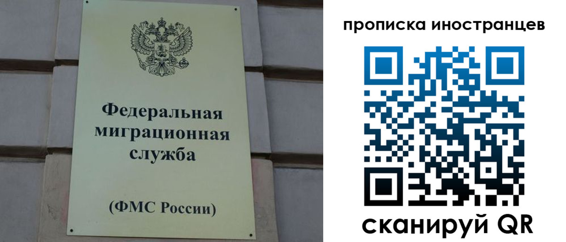 прописка в квартире в Лосино-Петровском